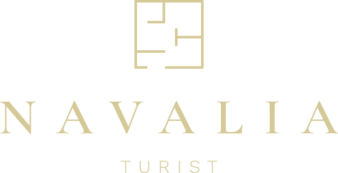 Logo Navalia light