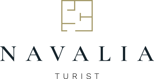 Logo Navalia